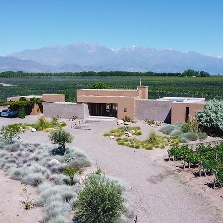 Casa Crux - Bodega Alfa Crux Villa Eugenio Bustos Eksteriør billede