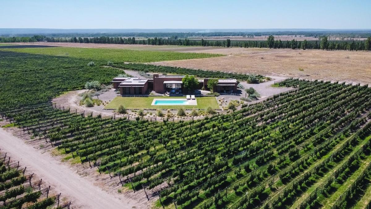 Casa Crux - Bodega Alfa Crux Villa Eugenio Bustos Eksteriør billede